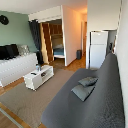Nice Studio At 90m From The Beach
